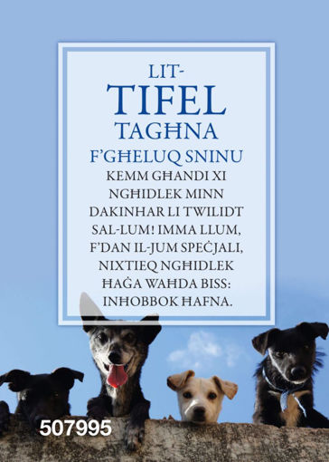Picture of LIT-TIFEL TAGHNA KARTOLINA
